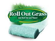 Roll Out Grass