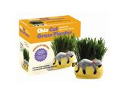 Chia Cat Grass Planter Snoozy Kitty