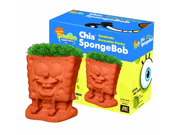 Chia Pet SpongeBob Handmade Decorative Planter