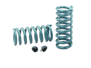 Hotchkis Performance Coil Springs
