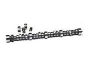 Crane 133032 Energizer Camshaft And Lifter Kit For Ford
