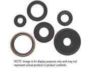 Winderosa 822339 Oil Seal Kit