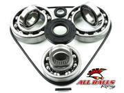 All Balls 25 2095 Differential Bearing and Seal Kit