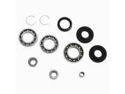 All Balls 25 2060 Differential Bearing and Seal Kit