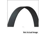Accessory Drive Belt Dayco 15630DR