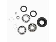 All Balls Differential Bearing And Seal Kit 25 2013