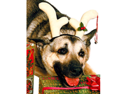 Christmas Rudolf Costume Reindeer Antlers For Pet Dog
