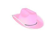 New Country Girls Pink Cowboy Cow Boy Felt Costume Hat