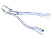 Bdeals Dental Instruments Extracting Forceps 151S Stainless Steel 1 Pc