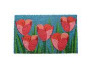 Field of Tulips Coir Doormat