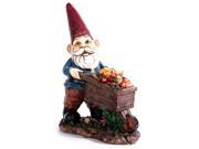 Kelkay Maxi Grow Your Own Gnome