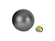 Valor Fitness EJ 6 Anti Burst Gym Exercise Ball
