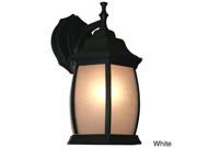 Waterdown 1 light Black Outdoor Wall Mount Fixture