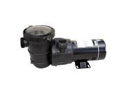 1 HP Maxi Replacement Pump For Above Ground Pools