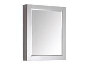 Avanity 24 inch Mirror Cabinet
