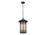 Z Lite Outdoor Chain Light in Oil Rubbed Bronze 528CHB ORB