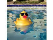Derby Duck Pool and Spa Chlorinator