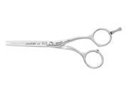 Tondeo 7535 C Line Century Slice Offset 5.5 Hair Shears Scissors