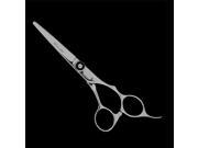 Kashi CB 101C Japanese 5.5 Cobalt Steel Hair Cutting Barbor Shears Scissors