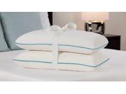 Comfort Revolution Molded 3 lb Density Premium Memory Foam Bed Pillow Two Pack