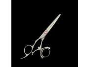Kashi CBL 521C Left Hand Swivel Thumb Salon Hair Cutting 5.5 Shears Scissors