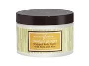 Aromafloria Sensoryfusion Mango Ginger 227g 8oz Whipped Body Butter with Shea and Aloe