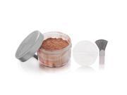 Charles of the Ritz Custom Blended Powder Bronzing