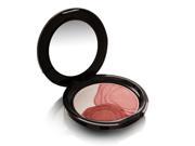 Shiseido Camellia Compact 6.5g 0.22oz