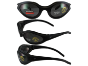 Birdz Raven Motorcycle Glasses with Smoke Shatterproof Anti Fog Polycarbonate Lenses and Wind Blocking Foam