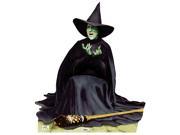 Wicked Witch Melting Standup