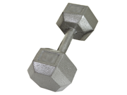 USA Sports Individual 75lb Cast Iron Hex Dumbbell by Troy Barbell