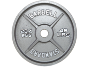 USA Sports 100lb Gray Olympic Plate