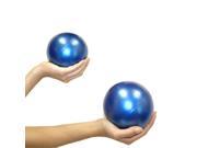 Jasmine Fitness Pilates Weighted Balls 2lbs Pair