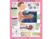 Blueprint for Health Your Ears Chart 20 x 26
