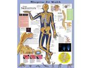 Blueprint for Health YOUR SKELETON Anatomical Chart 20 x 26