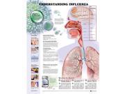Understanding Influenza Anatomical Chart 20 x 26