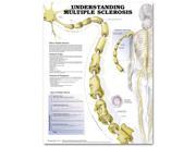 Understanding Multiple Sclerosis Anatomical Chart 20 x 26