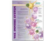 The Immune System Allergic Response Anatomical Chart 20 x 26