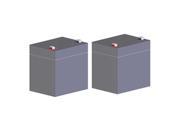 Bestcare 12 Volt Battery For All Electric Lifts 2 pack