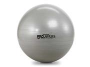 Thera Band Pro Series SCP Exercise Ball Silver