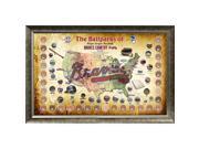 Major League Baseball Parks Map 20x32 Framed Collage w Game Used Dirt From 30 Parks Braves Version