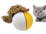 Beaver Ball Self Rolling Cat Toy For Kids And Pets Interactive Ball
