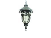 Yosemite 519MHI 1 Light 20.5 Height Outdoor Pendant from the Viviana Collection Oil Rubbed Bronze