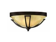 Hinkley Lighting H2633 2 Light Outdoor Flush Mount Ceiling Fixture from the Boll