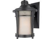 Quoizel 1 Light Harmony Outdoor Wall Lanterns in Imperial Bronze HY8409IBFL