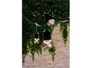Bulbrite 810003 String Lights Outdoor Lighting Clear