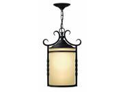 Hinkley Lighting 1142OL Pendants Outdoor Lighting Olde Black