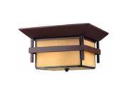 Hinkley Lighting H2573 2 Light 12.25 Width Outdoor Flush Mount Ceiling Fixture