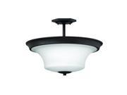 Hinkley Lighting 4632TB Ceiling Fixtures Indoor Lighting Textured Black