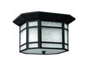 Hinkley Lighting H1273 2 Light 12 Width Outdoor Flush Mount Ceiling Fixture fro